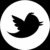 Diego Marr Twitter